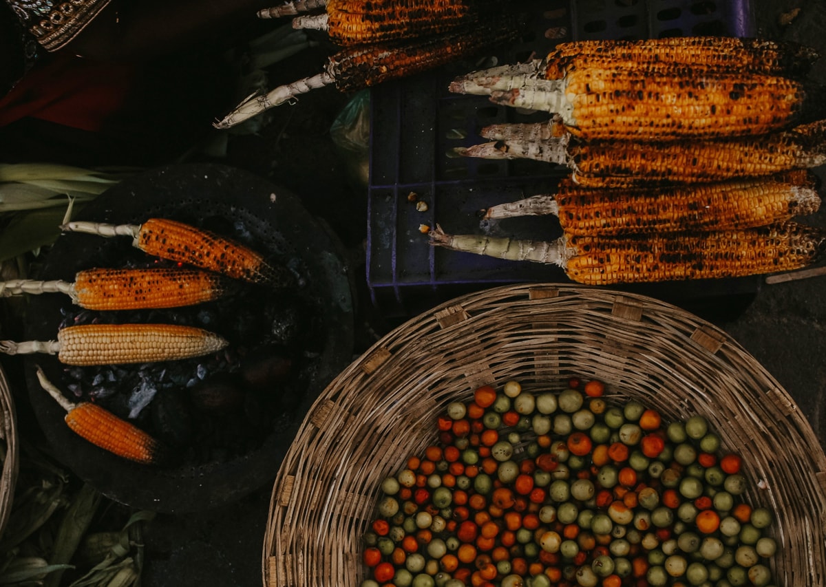 strona internetowa dla restauracji studio projektowe hotmilk