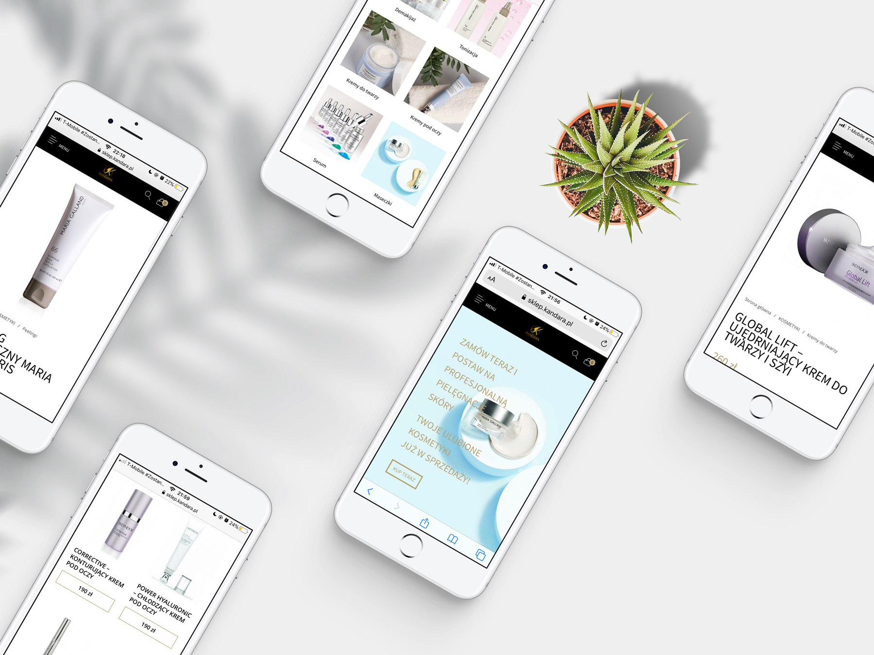 logo dla spa studio projektowe hotmilk